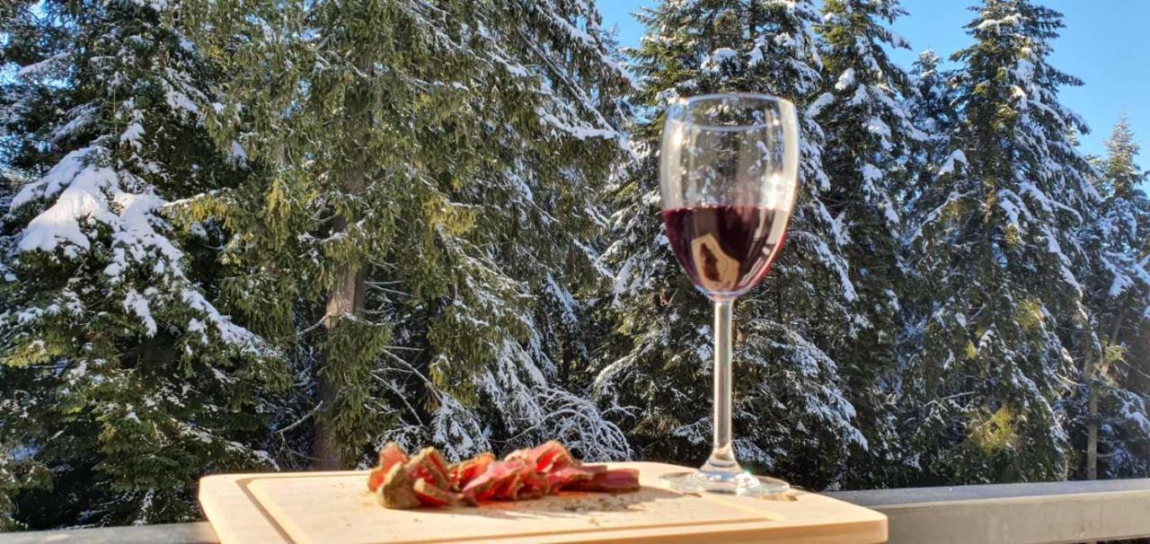 Fox Boutique Apartment Borovets Gardens エクステリア 写真