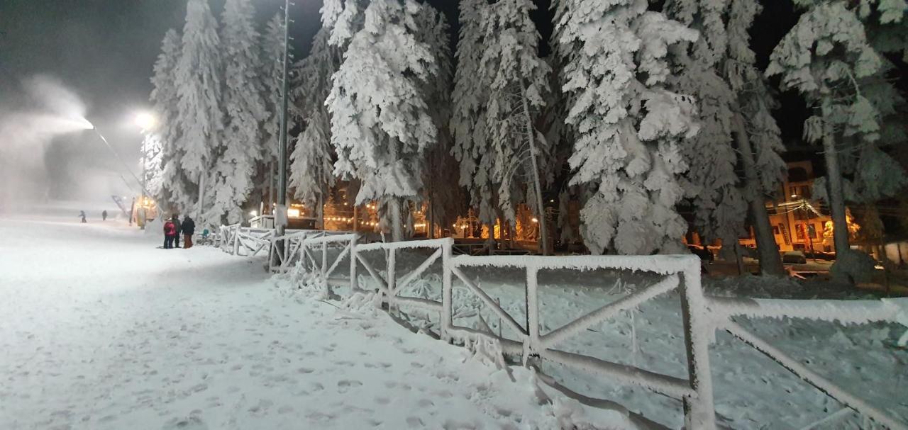 Fox Boutique Apartment Borovets Gardens エクステリア 写真