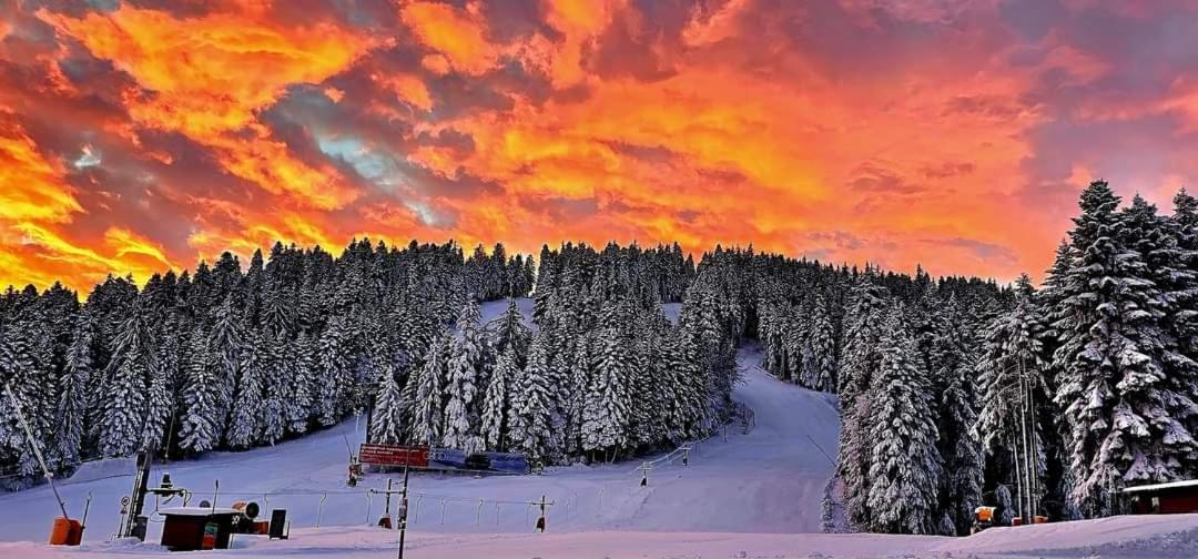 Fox Boutique Apartment Borovets Gardens エクステリア 写真
