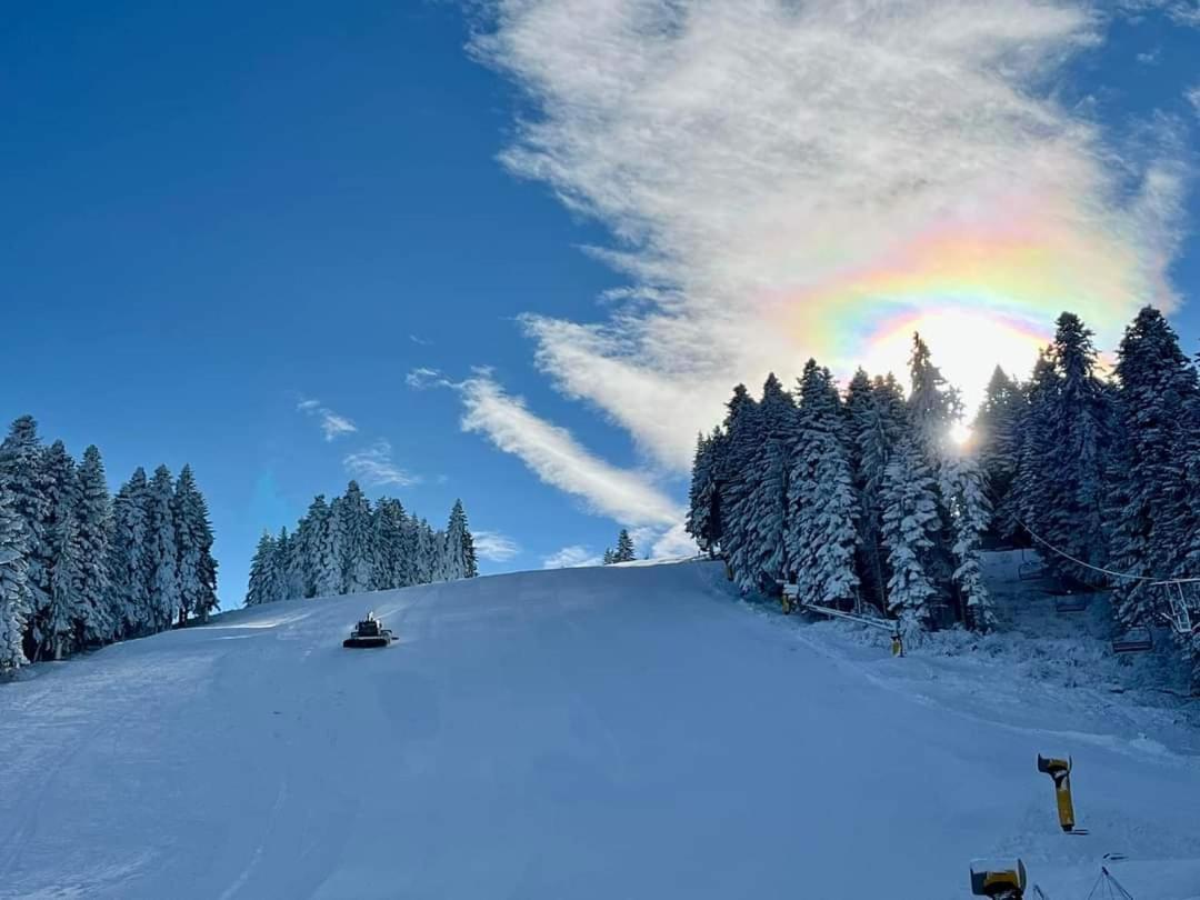 Fox Boutique Apartment Borovets Gardens エクステリア 写真