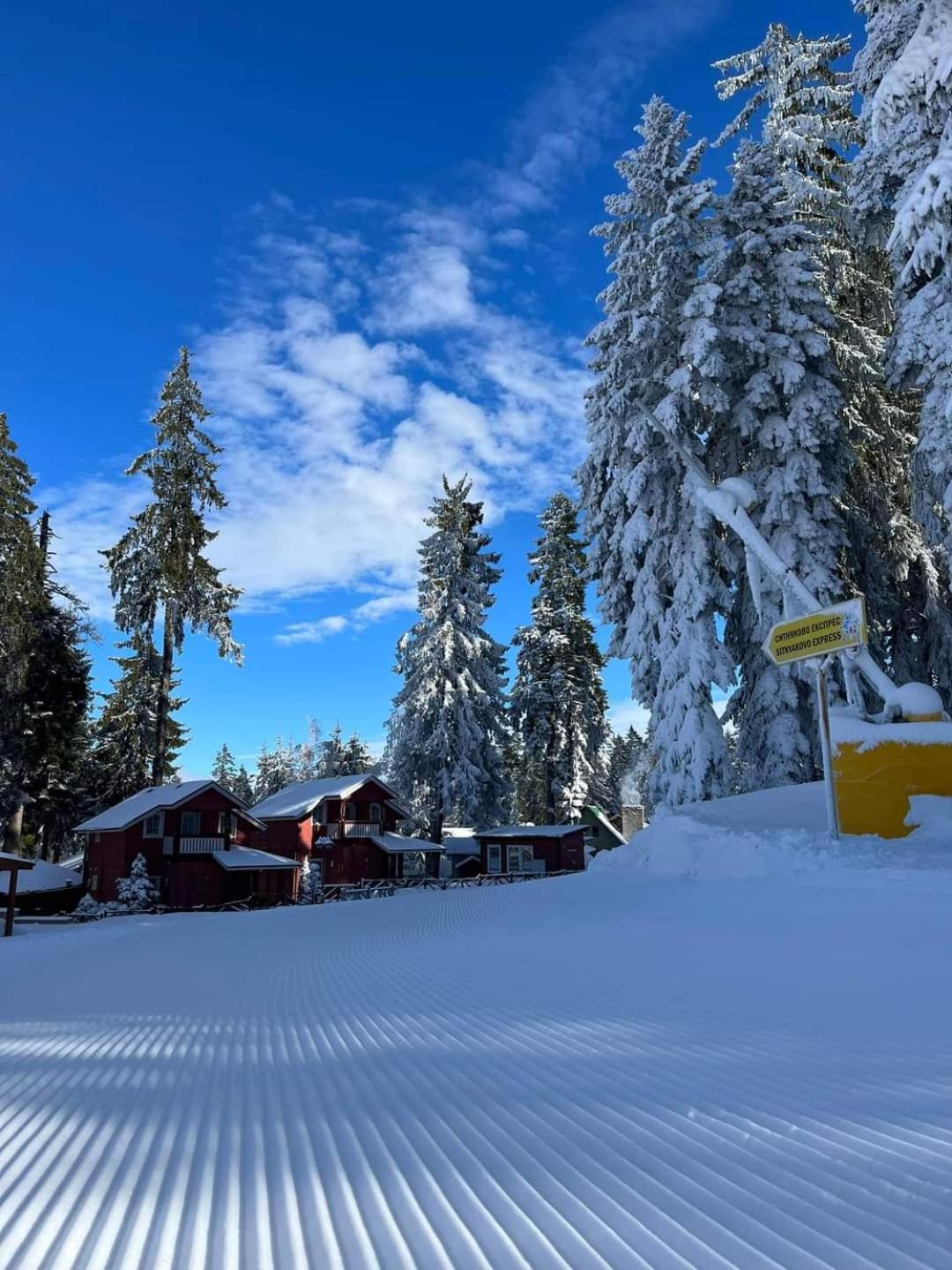 Fox Boutique Apartment Borovets Gardens エクステリア 写真