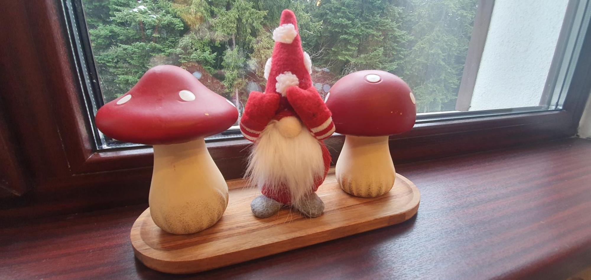Fox Boutique Apartment Borovets Gardens エクステリア 写真